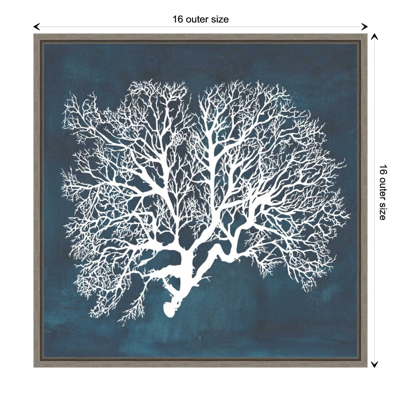 Inverse Sea Fan Coral III by Grace Popp Canvas Wall Art Print Framed